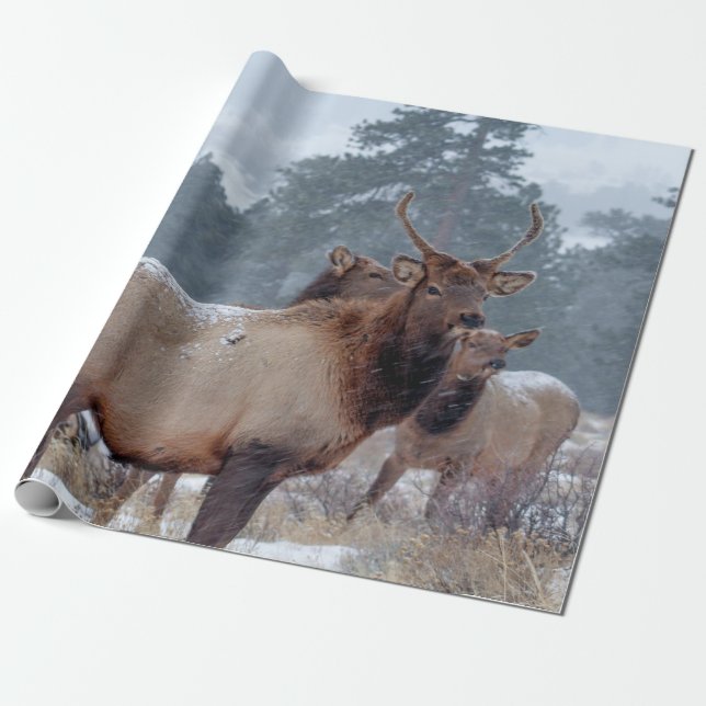 PAPEL DE PRESENTE UM GRUPO DE DEERS (Desenrolado)
