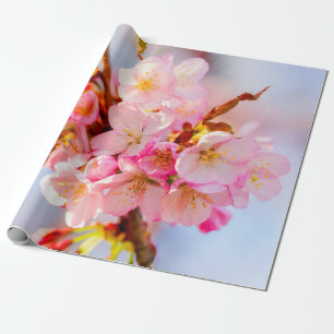 Papel De Presente Um Monte De Flores Adoráveis E Doce De Sakura