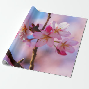 Papel De Presente Um Monte De Flores Sakura Na Sombra De Uma Árvore