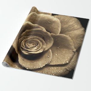 Papel De Presente Um rosa antiquado se aproxima, molhado com água d'