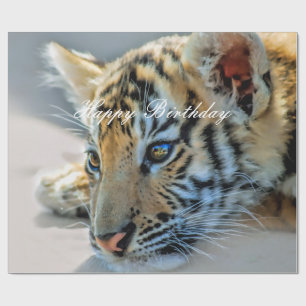 Papel De Presente Um tigre de bebê bonito