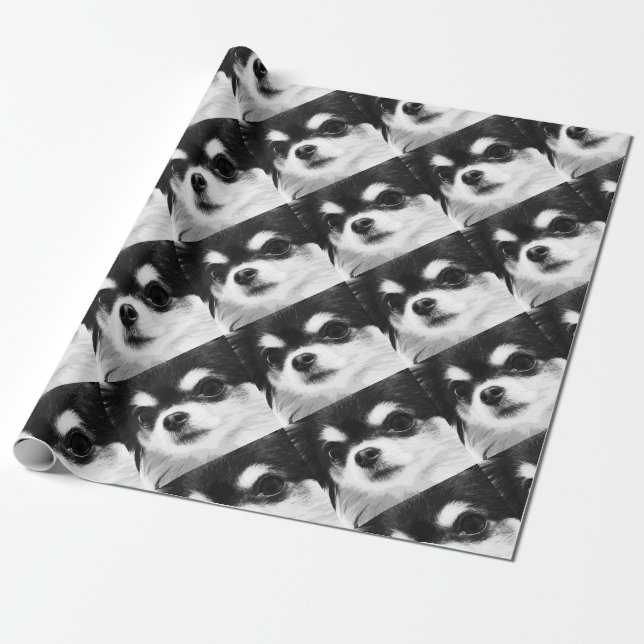 Papel De Presente Uma chihuahua preto e branco (Desenrolado)