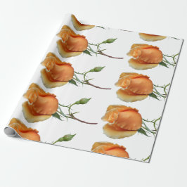 Papel De Presente Uma única muda de rosa