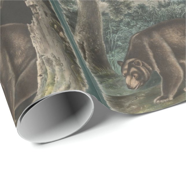 Papel De Presente Urso Cinnamon de John James Audubon (Ponta do rolo)