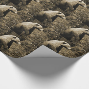 Papel De Presente Urso Ordenado