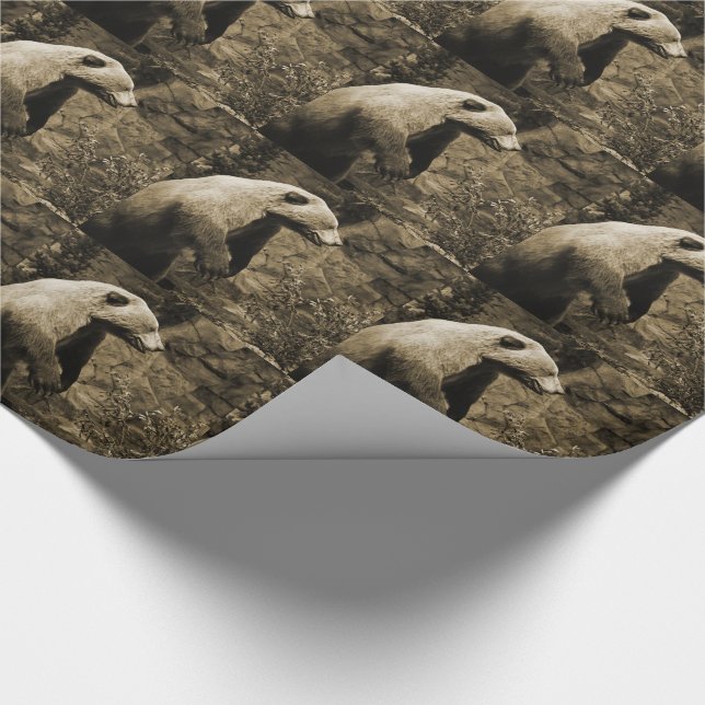 Papel De Presente Urso Ordenado (Ponta)