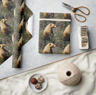 Papel De Presente Urso Ordenado