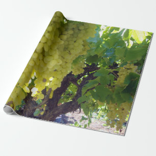 Papel De Presente Uvas Sultana Numa Vinha De Uva,