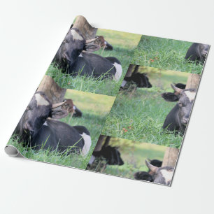Papel De Presente Vaca