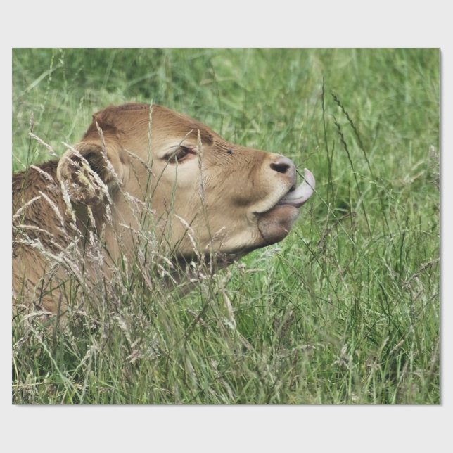 PAPEL DE PRESENTE VACA (Aberto)