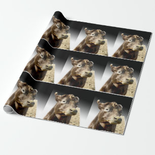 Papel De Presente Vaca Castanha A Mandar Em Hay,