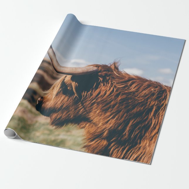 PAPEL DE PRESENTE VACA DE ALTA PLANA (Desenrolado)