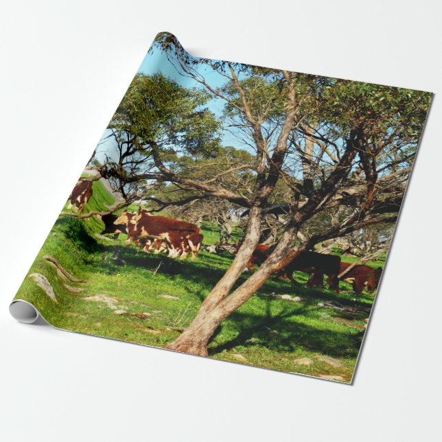 Papel De Presente Vacas Castanhas E Brancas No Intervalo, (Desenrolado)