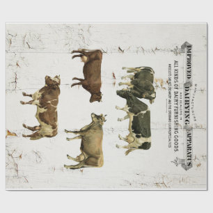 Papel De Presente Vacas rústicas velhas do estilo do vintage da vaca