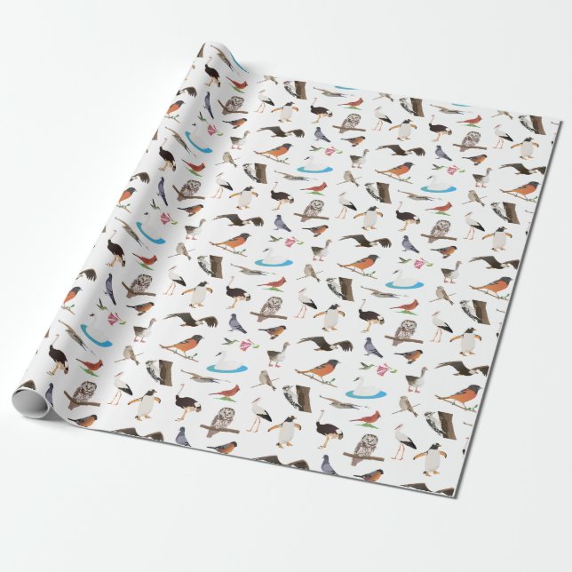 Papel De Presente Várias Aves (Desenrolado)