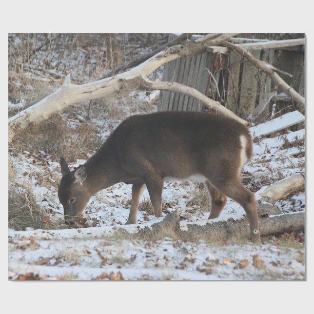 Papel De Presente Veados na Neve (Aberto)