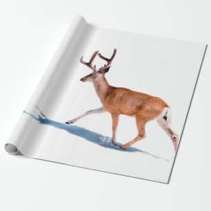 PAPEL DE PRESENTE VELOCIDADE BRANCA NO FUNDO BRANCO