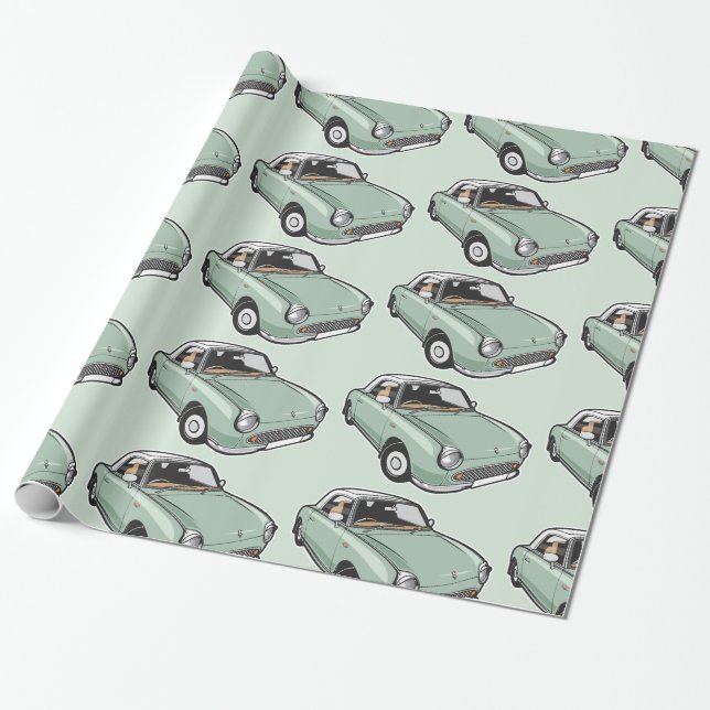 Papel De Presente Verde esmeralda de Nissan Figaro (Desenrolado)