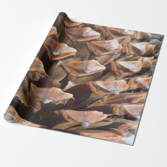 Papel De Presente Vestido de pínus (Desenrolado)