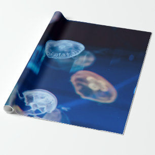 Papel De Presente Vida no Mar bonito