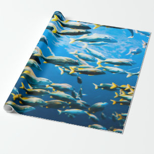 Papel De Presente Vida no Mar bonito