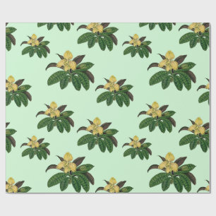 Papel De Presente vintage, arte orquídea rara e bela