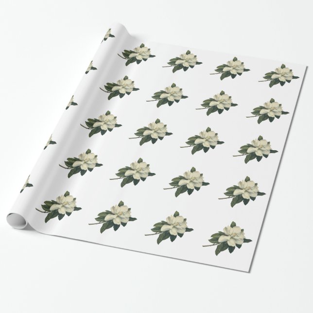 Papel De Presente Vintage Blooming White Magnolia Blossom Flores (Desenrolado)