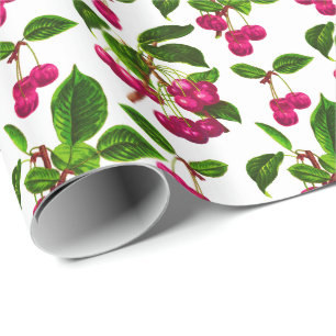 Papel De Presente Vintage Botanical Fuchsia Pink Cherries Impressão