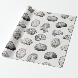 Papel De Presente Vintage Brain Anatomy Biology Illustrations