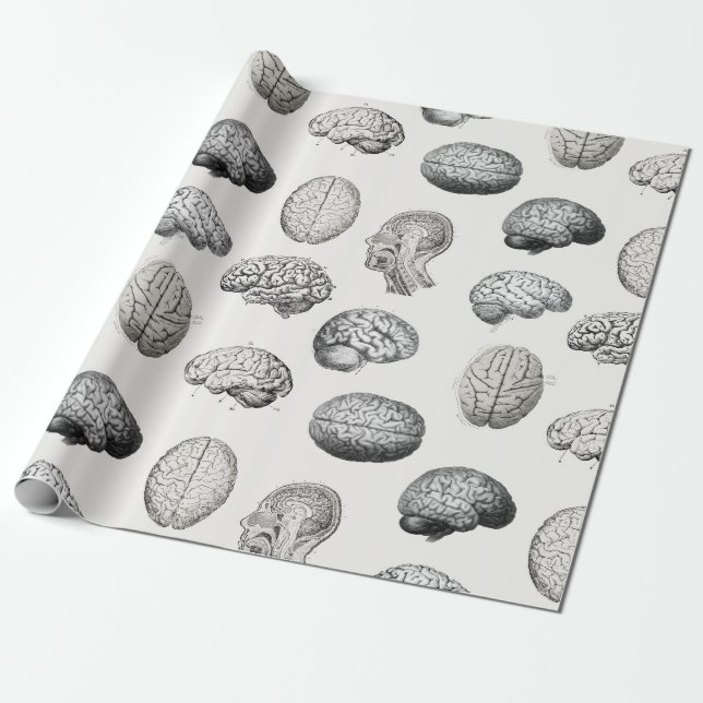 Papel De Presente Vintage Brain Anatomy Biology Illustrations (Desenrolado)