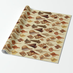 Papel De Presente Vintage Brown Seashells Caracóis Costeiros Sob Ma