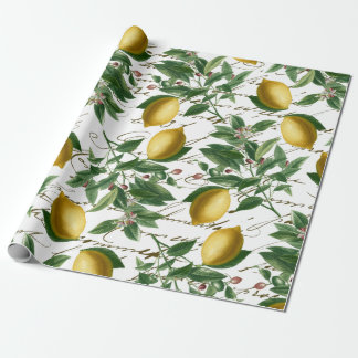 Papel De Presente Vintage Lemon Branch French Script Fruta