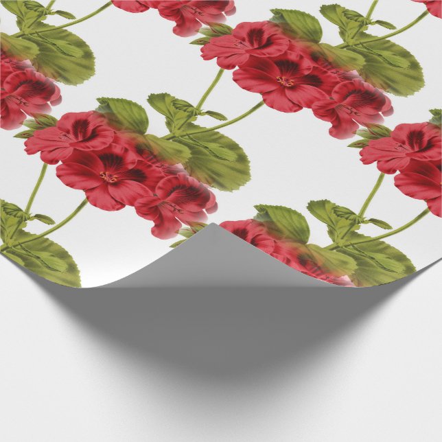 Papel De Presente Vintage Red Geraniums (Ponta)