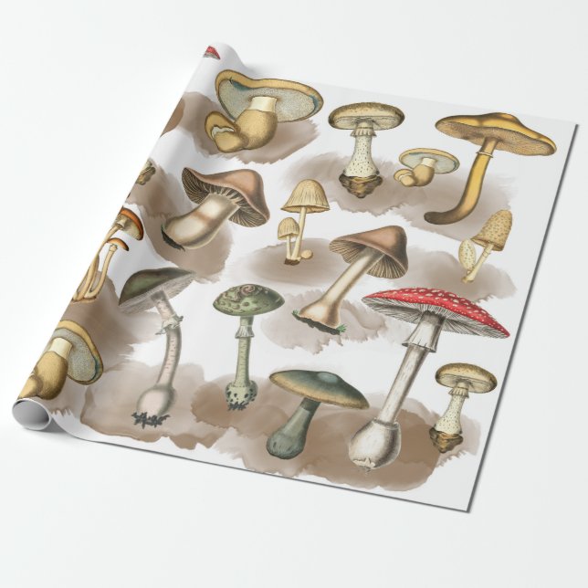 Papel De Presente Vintage Woodland Forest Mushroom (Desenrolado)