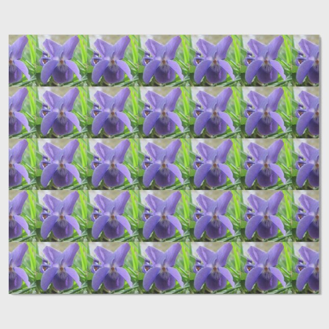 Papel De Presente Violeta doce (Aberto)