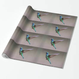 Papel De Presente Voo Do Hummingbird