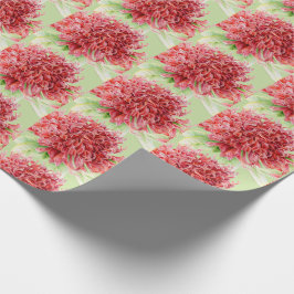 Papel De Presente Waratah Red Botanica, moldagem de aquarela