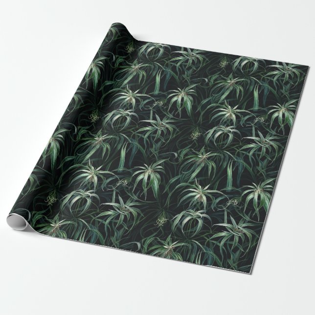 Papel De Presente Watercolor Spider Plant (Dark) (Desenrolado)