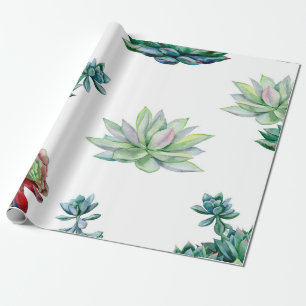 Papel De Presente Watercolor succulents seamless pattern, echeveria 