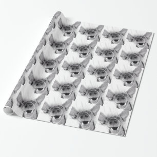 Papel De Presente Weimeraner