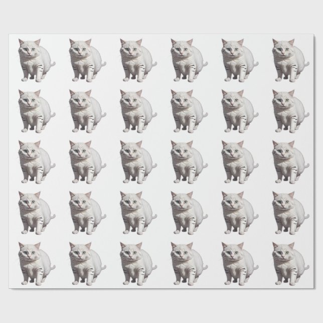 Papel De Presente White Cat with Subtle Gray Tabby Markings (Aberto)