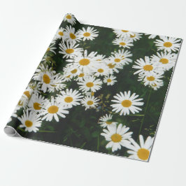 Papel De Presente White Oxeye Daisy Meadow