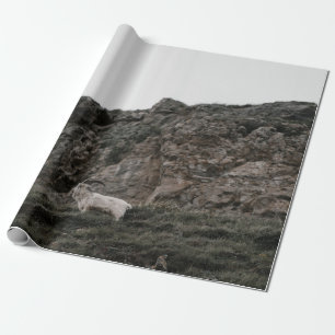 PAPEL DE PRESENTE WILD GOAT