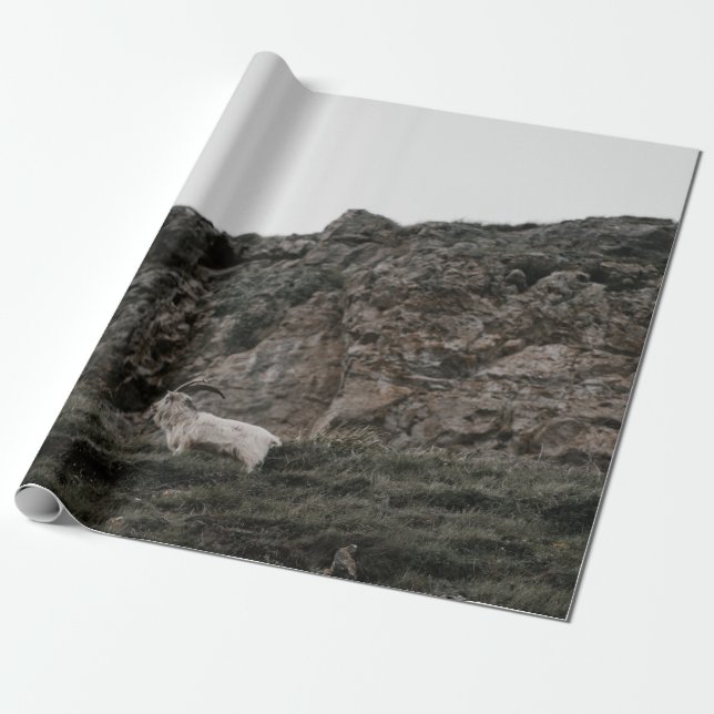 PAPEL DE PRESENTE WILD GOAT (Desenrolado)