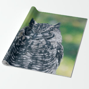 PAPEL DE PRESENTE WILL OWL NA FLORESTA FRANCESA