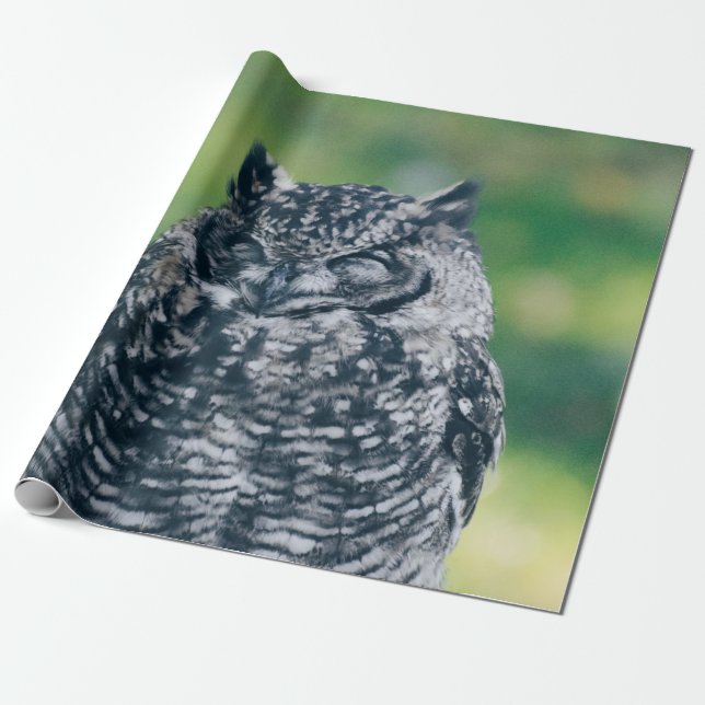 PAPEL DE PRESENTE WILL OWL NA FLORESTA FRANCESA (Desenrolado)