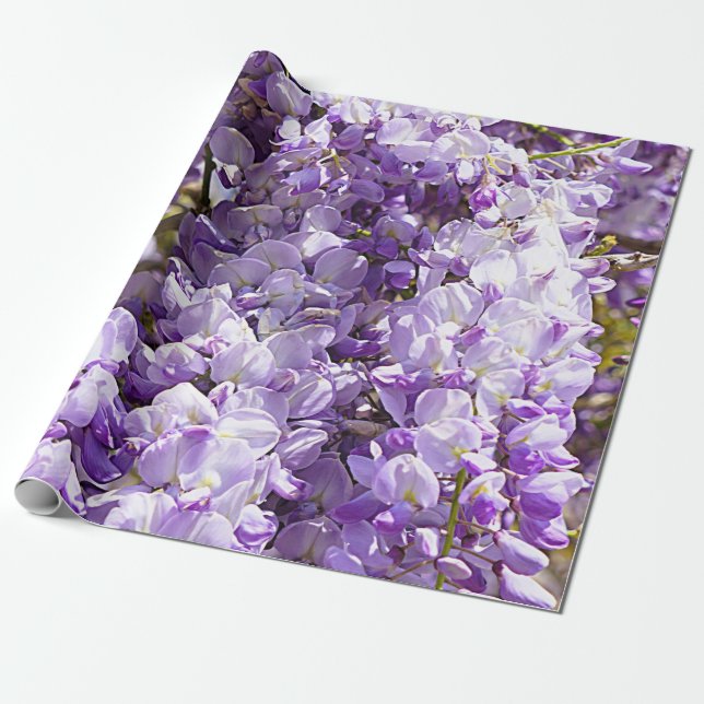 Papel De Presente Wisteria Purple Floral Flor Tree Violet (Desenrolado)