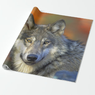 Papel De Presente Wolf_2015_0302