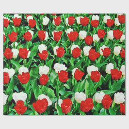 Papel De Presente Wrapping Paper