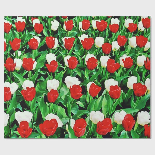 Papel De Presente Wrapping Paper (Aberto)